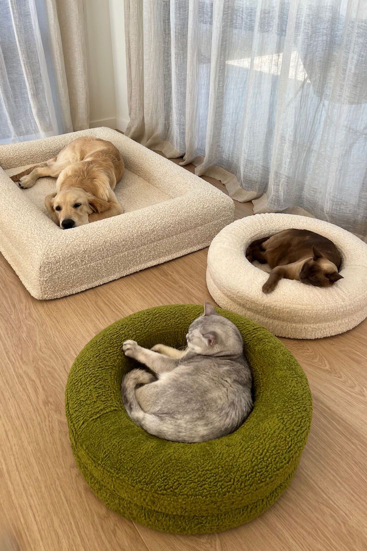 Beds and Mats