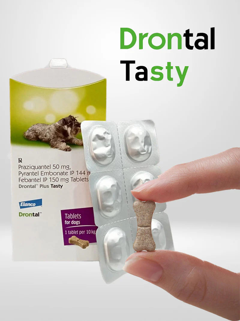 Elanco Drontal Plus Tasty Dewormer(Strip of 6 Tablets)