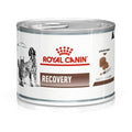 Royal Canin Recovery Bacon Liquid Can For Dogs And Cats 195 G All Life Stages