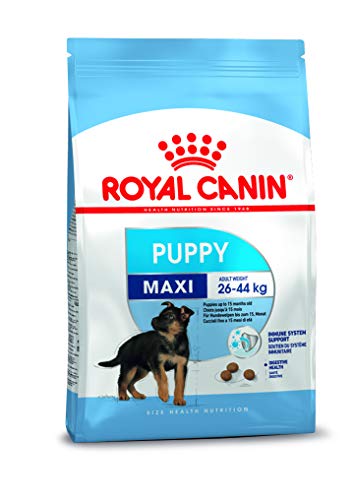Royal Canin Maxi Puppy Food, Dry Food, Supports Immune System & digestive health, Provides Long growth, moderate energy, 1 Kg