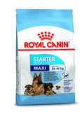 Royal Canin Maxi Starter, Mother & Babydog Food, 1 Kg, Dry Food, Supports Complex Natural Defence & digestive health, Provides Gestation/Lactation Support, Supports Easy rehydration