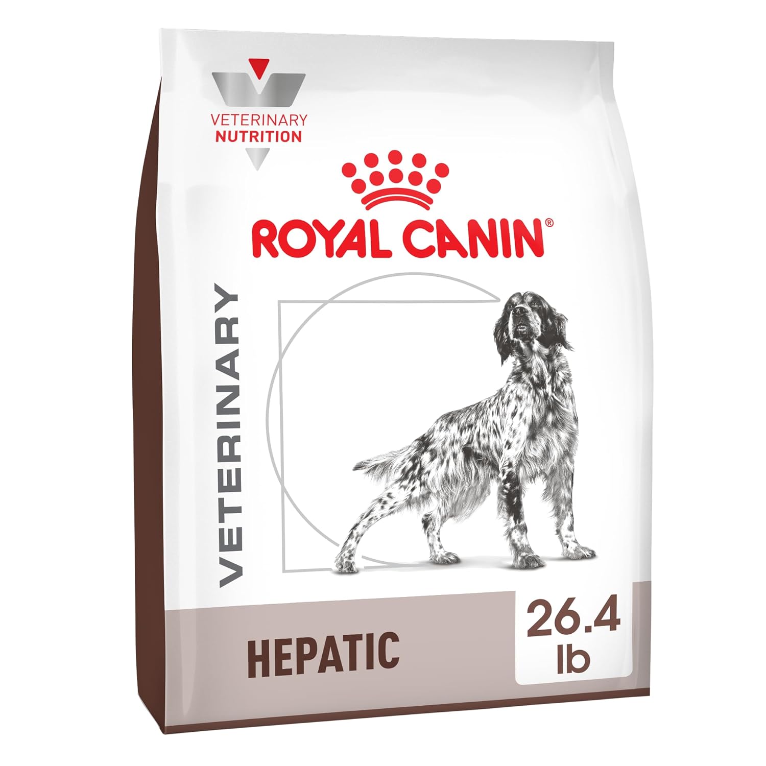 Royal Canin Hepatic 6000 G
