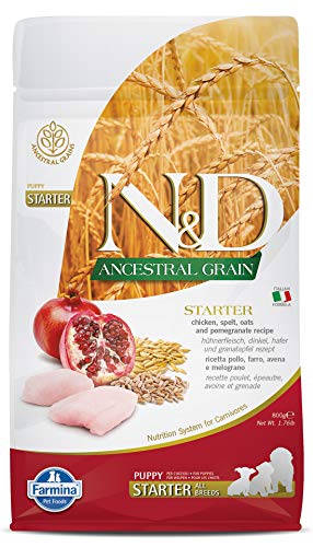 Farmina N&D Ancestral Grain Starter Puppy Dog Food | Spelt, Oats, Chicken & Pomegranate | Healthy Growth & Brain Development | for Puppies Up to 2 Months | 0.8kg