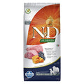 FARMINA N&D Pumpkin Dry Dog Pet Food, Grain-Free, Adult Medium & Maxi Breed, 12-kg, Lamb and Blueberry