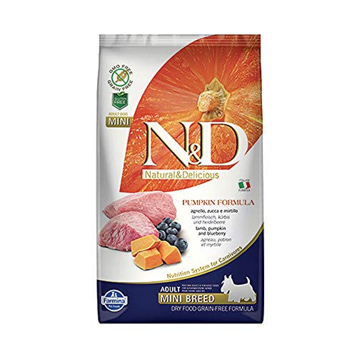 Farmina N&D Pumpkin Adult Mini Dog Food | Lamb, Blueberry & Pumpkin | Rich in Anti-oxidants|Complete Food for Adult Dogs | 0.8kg | No Artificial Preservatives