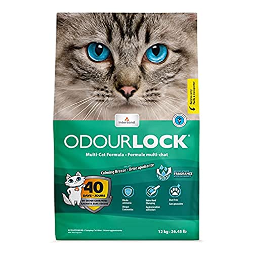 OdourLock Calming Breeze Scented Ultra Premium Cat Litter -Blocks Ammonia, Dust-Free, Extra-Hard Clumping, 40-Day Odor Control, Quick Absorption, No Tracking, Multi-Cat Friendly, Made in Canada 12kg