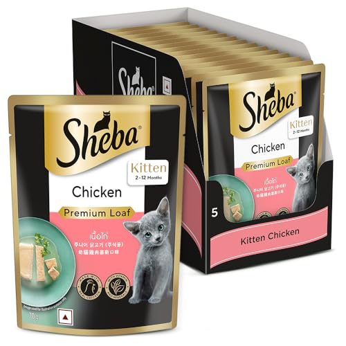 Sheba Fine Premium Kitten (2-12 Months) Wet Cat Food, Chicken Premium Loaf, 70 g Pouch (Pack of 14), High-Moisture Gravy Kitten cat Food for Healthy Hydration