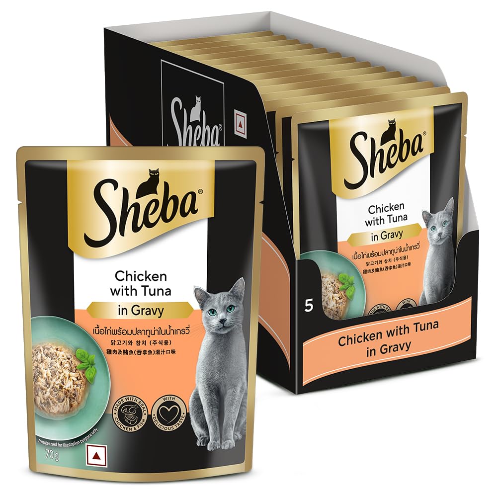 Sheba Fine Premium Adult 1 Years Wet Cat Food Chicken With Tuna In Gravy 70 G Pouch Pack Of 14 High Moisture Gravy Cat Food For Healthy Hydration