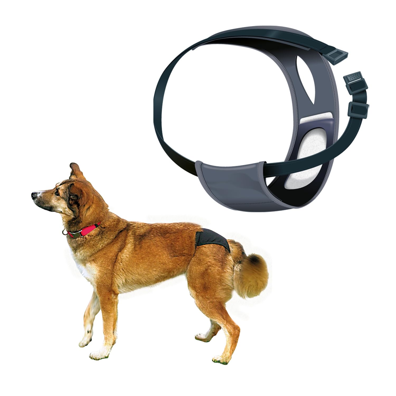 Trixie Protective Pants For Female Dogs Designed For Dogs In The Season To Prevent Staining Of Carpets Other Fabrics Handy Snap Clip Makes It Easy To Put On Washable Xl 60 70cm