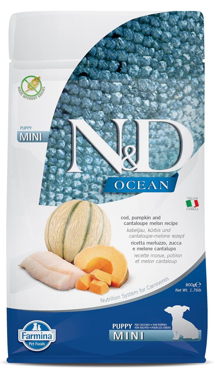Farmina N D Ocean Puppy Mini Dog Food Cod Pumpkin Cantaloupe Melon Supports Healthy Growth Brain Development Complete Food For Puppies 0 8kg