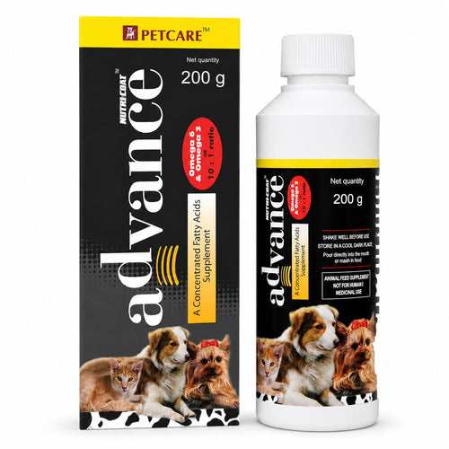 Advance Dog Skin And Fur Supplement Syrup With Omega 3 And 6 Fatty Acids Vitamins Supports Shiny Fur Skin Health Soft Hair Nutrition Daily Feeding Routine For Adult Dogs 200 Ml