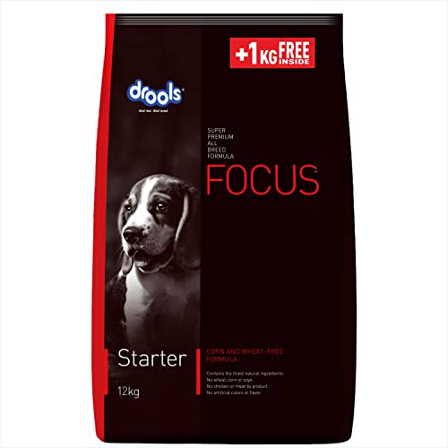 Drools Focus Super Premium Starter Dry Dog Food 12kg (+1kg Free) Total 13kg Pack | Chicken Flavour | Supports Growth & Intelligence | Promotes Digestive Health