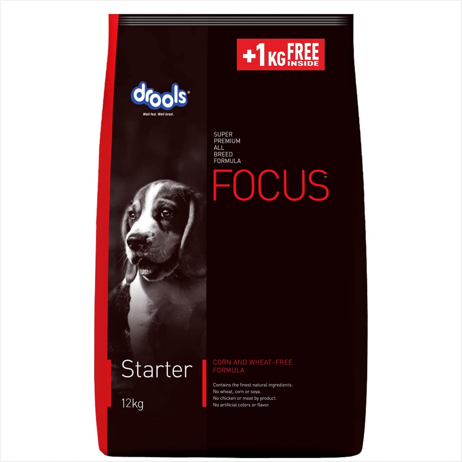 Drools Focus Super Premium Starter Dry Dog Food 12kg 1kg Free Total 13kg Pack Chicken Flavour Supports Growth Intelligence Promotes Digestive Health