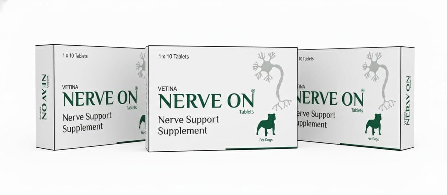 Vetina Nerveon Verve Support Supplement For Dogs Helps In Epilepsy Distemper Paralysis Nerve Injury And Neurological Disorder Patient 10 Tablets Pack Of 3