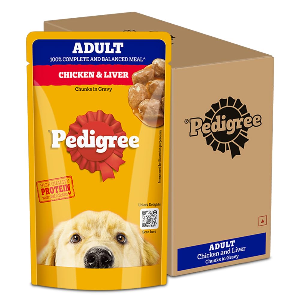 Pedigree Adult Wet Dog Food Chicken Liver Chunks In Gravy 130 G Pack Of 12 Complete Balanced Meal For Adult Dogs