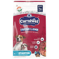 Carniwel Fresh Lamb Starter Dry Dog Food 1 Kg Natural Ingredients For Easy Weaning Gmo Free Highly Palatable Immune Lactation Support Premium Nutrition Tailored For Small Dogs