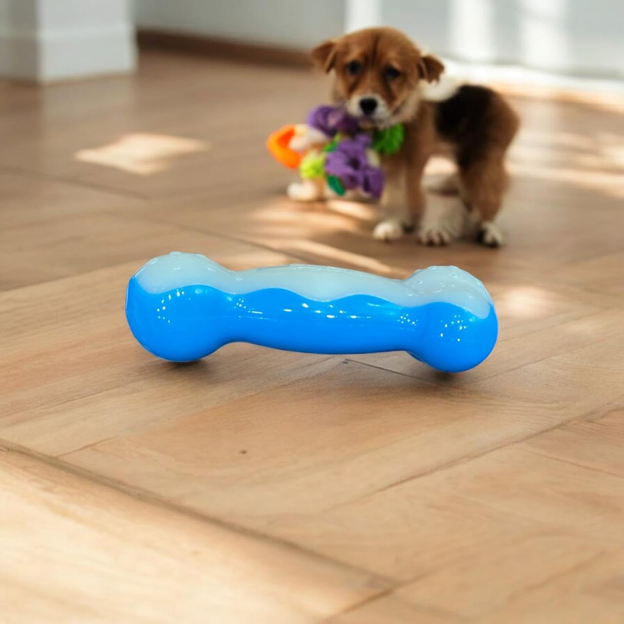 Ice Bone Chewing Toy Fill With Water And Freeze Suitable For Puppies Teething Blue
