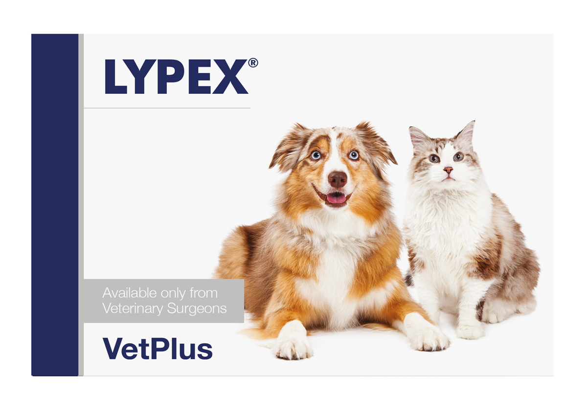 Vetplus Nutraceutical Supplement Lypex Capsules for Dog & Cat ( 60 Caplus)
