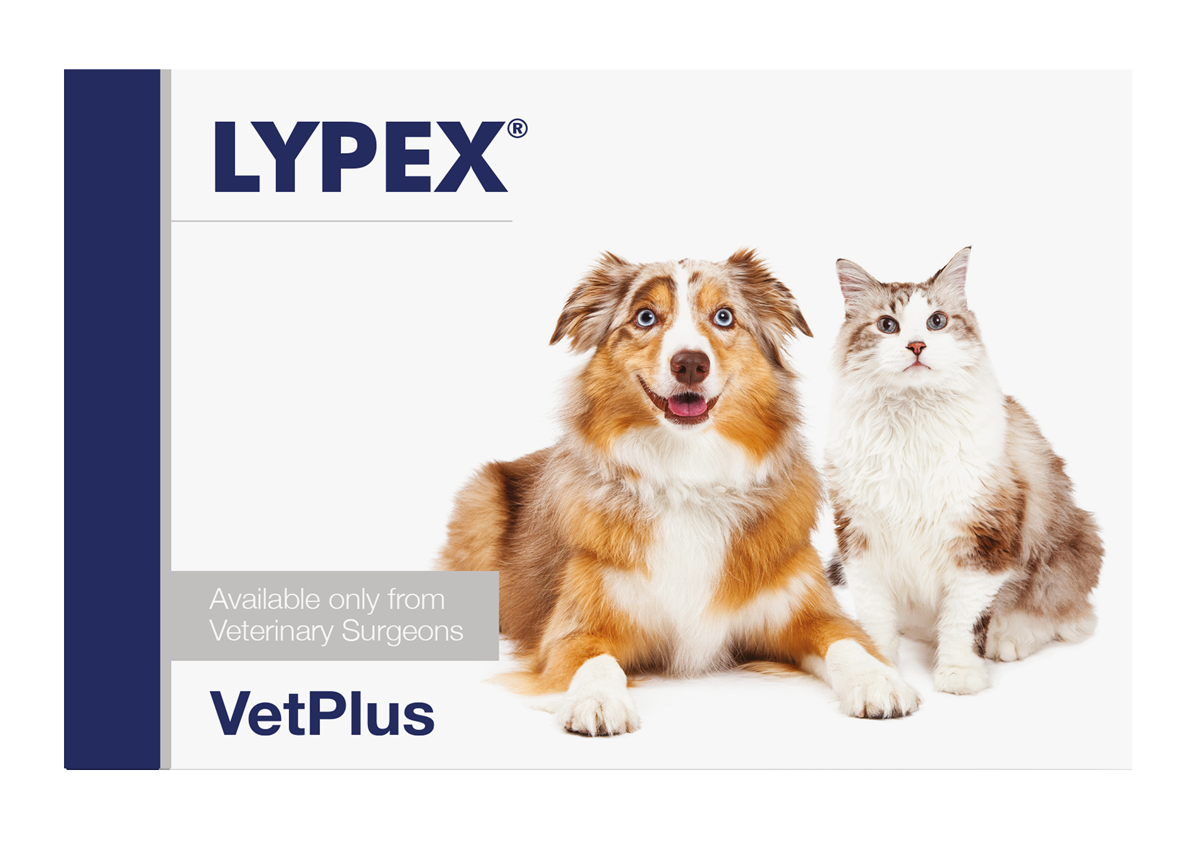 VetPlus LYPEX® Complementary Digestive Support Capsules For Dogs & Cats