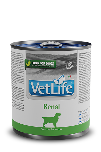 Farmina Vet Life Renal 300gm (Pack of 6)