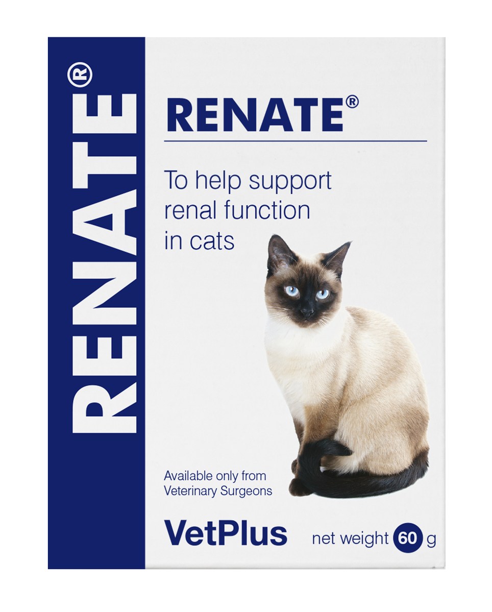 Vetplus Renate Cat (2g x 30 sachets) Renal Support Supplement For Cats