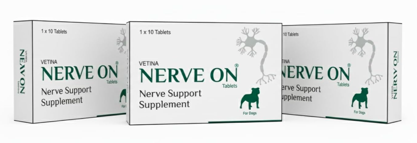 Vetina NerveOn Verve Support Supplement for Dogs Helps in Epilepsy Distemper Paralysis Nerve Injury and Neurological Disorder Patient