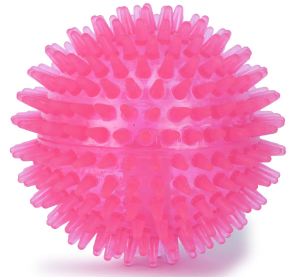 ZOOOP Spiked Squeaky Chew Ball for Dogs & Puppies | Color May Vary