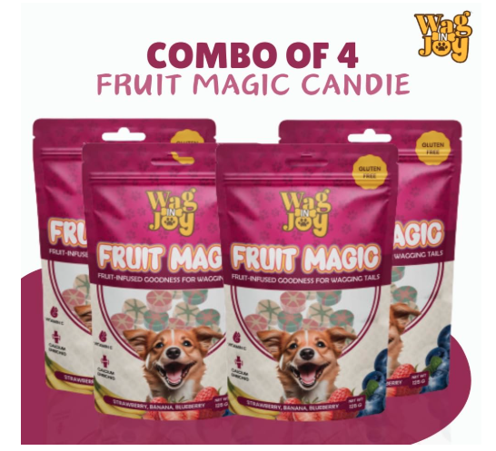 Wag in Joy Fruit Magic Veg Treats for Dogs | Vitamin C, Calcium Enriched | Mix Fruit, Strawberry, Blueberry & Banana Flavour, 125 gm (Pack of 4)
