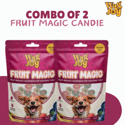 Wag in Joy Fruit Magic Veg Treats for Dogs | Vitamin C, Calcium Enriched | Mix Fruit, Strawberry, Blueberry & Banana Flavour, 125 gm (Pack of 2)