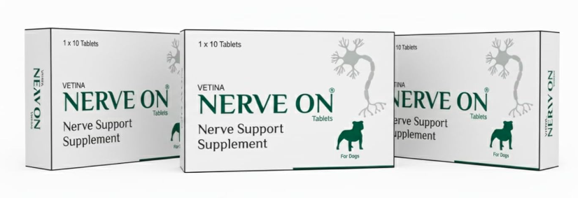 Vetina NerveOn Verve Support Supplement for Dogs Helps in Epilepsy Distemper Paralysis Nerve Injury and Neurological Disorder Patient