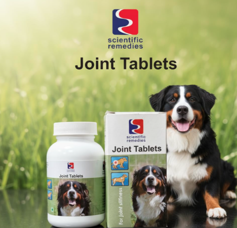 SR Joint Supplement for Hip dysplasia and Joint Support for Dogs