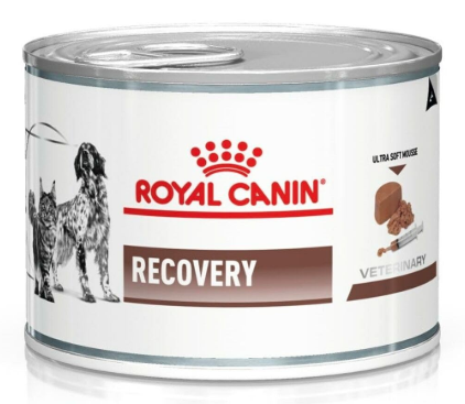 Royal Canin Recovery Bacon Liquid Can for Dogs and Cats, 195 g All Life Stages
