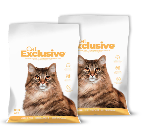 Cat Exclusive Unscented Premium Cat Litter – 10kg (Pack of 2) | 99.9% Dust-Free, Fragrance-Free Hard Clumping Bentonite for Sensitive Cats & Kittens