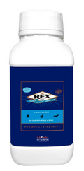 Rex Wheat Germ Oil 250 ml | Rich in Vitamin E & Omega 3, 6 | Skin & Coat Supplement for Dogs, Cats, Horses, Birds & Small Pets