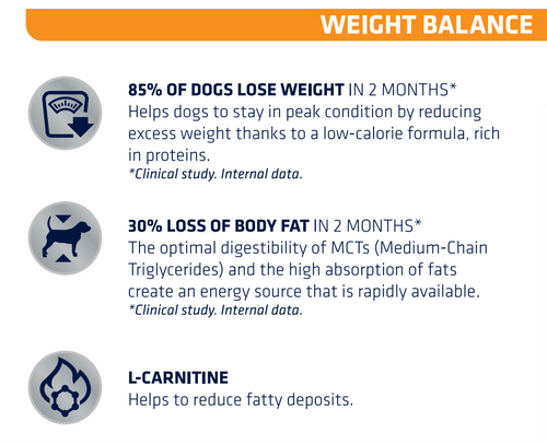 Advance Weight Balance 3kg