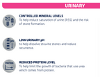 Advance Urinary Cat 1.5kg