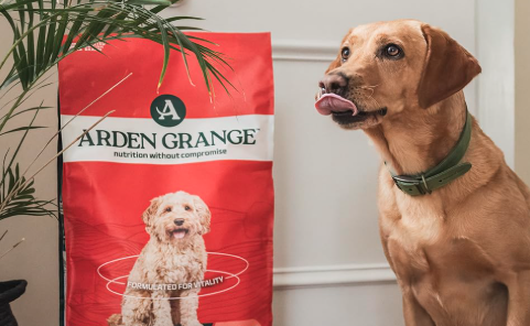 Arden Grange Dry Dog Food Adult Dog Salmon & Rice 12-kg