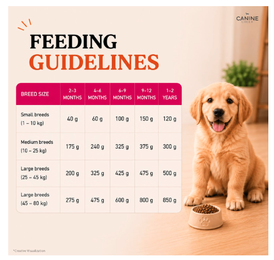 Canine Creek Puppy Dry Dog Food 3kg | Real Chicken | Supports Brain and Eye Development | Healthy Skin and Coat | Promotes Healthy Muscle Growth