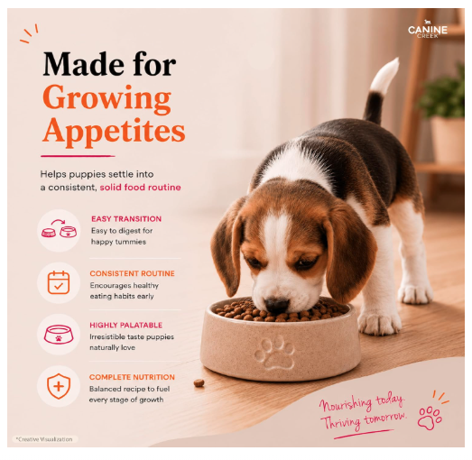 Canine Creek Puppy Dry Dog Food 3kg | Real Chicken | Supports Brain and Eye Development | Healthy Skin and Coat | Promotes Healthy Muscle Growth