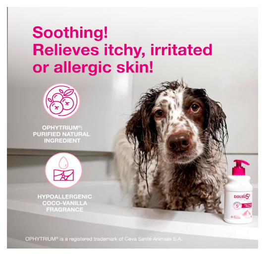 Douxo S3 Calm Shampoo 200 ml - For Dogs and Cats with Allergy Friendliness, Itchy Skin