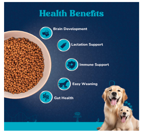 Carniwel Fresh Chicken Adult Dry Dog Food 1kg | Premium Nutrition | Natural Ingredients for Optimal Skin & Coat Health | Highly Palatable