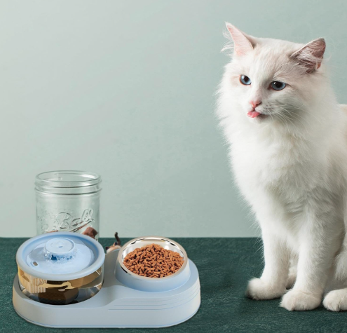 Exclusive Cat Water Fountain and Food Bowl | Ultra Quiet Pet Water Dispenser | Cat Drinking Fountain with Ultra-Quiet Pump, for Cats and Small Dogs