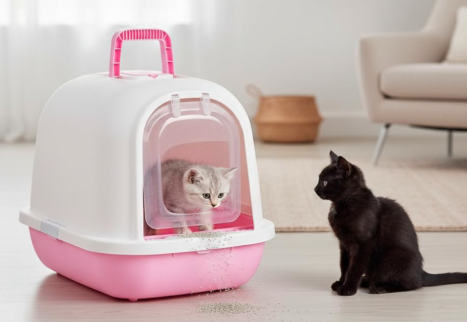 Cat Litter Box Fully Enclosed Splash-Proof Cat Litter Box | Scoop (Green)