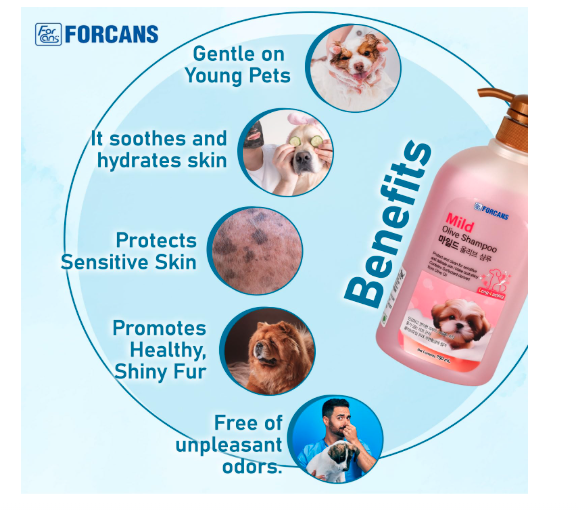 FORCANS Natural Mild Olive Shampoo for Puppy and Kitten 750 Milliliter, Effect, Gentle to Weak and Trouble Prone Skin