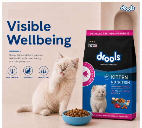 Drools Kitten Dry Cat Food 4kg Pack (3kg + 1kg food Free Inside) | Ocean Fish Flavour | Promotes Optimum Growth Controls Urinary Ph
