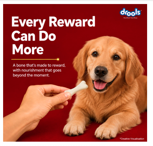 Drools Absolute Dog Supplement Treats 600g Jar (40 Pieces) | Supports Joint Health | Strengthens Teeth | Promotes Dental Cleaning (Standard)