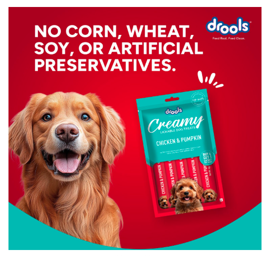 Drools All Life Stages Dog Treats Creamy 5 Sticks Tasty & Nutritious Snack for All Breeds (15g x5) 75g | Chicken & Pumpkin Flavour
