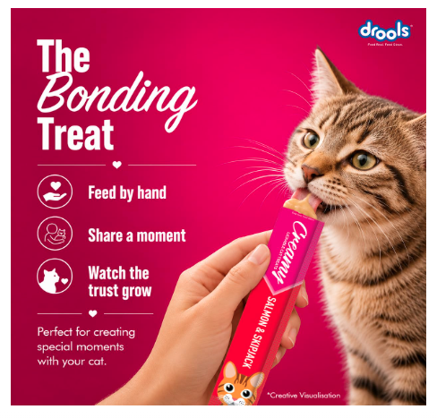 Drools All Life Stages Creamy Lickable Cat Treats 25 Pieces, Pack Total 375g | Salmon & Skipjack Flavour | Taurine for Heart and Vision Health