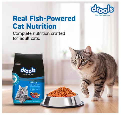 Drools Adult Dry Cat Food 3kg with 1.2kg, Total 4.2 kg Pack | Ocean Fish Flavour | Supports Vision | Promotes Cardiac Health | Enhances Skin & Coat