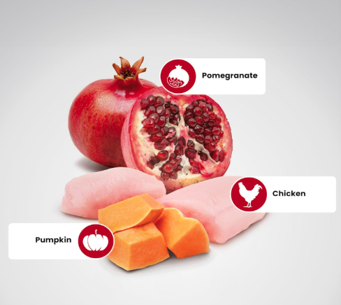 Farmina N&D Pumpkin Adult Medium/Maxi Dog Food | Chicken, Pomegranate & Pumpkin |Rich in Anti-oxidants| Complete Food for Adult Dogs | 2.5kg
